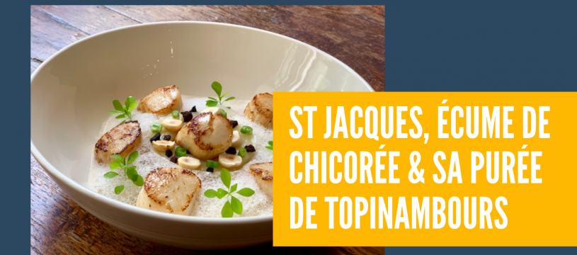 St Jacques, écume de chicorée & sa purée de Topinambours