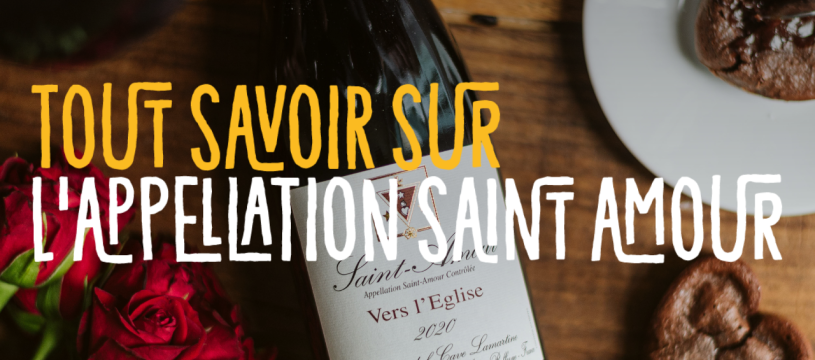 Tout savoir sur l'appellation Saint-Amour